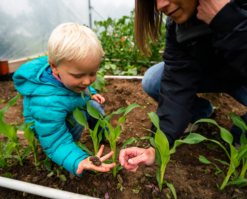 NRCS Supervisory District Conservationist Paula Gunderson discusses plants and soil health with future farmer. Fleshman Farm, June 2020, Teton County, Montana.