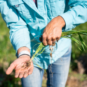 50730956852_77133ecf77_k