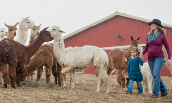 Alvina Maynard River Hill Ranch 2