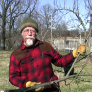 guy holding tree limb