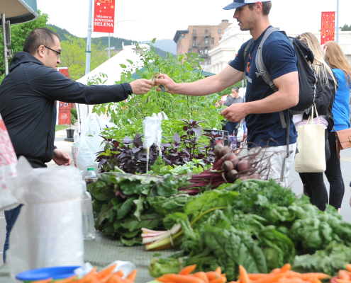 Shoppers at the Helena Farmers Market