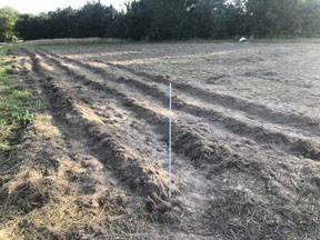 Incubator farm plot