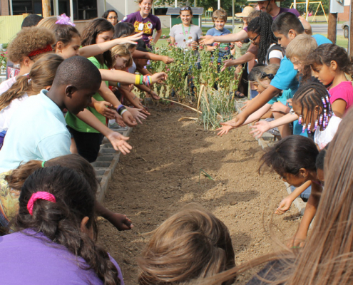 Planting-a-cover-crop-with-the-kids