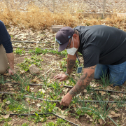 Randal Kelly New Mexico Armed to Farm2
