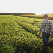 S4W Film Farmer in Field