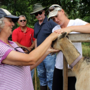 Sara Creech (right) Sara Creech, right, participating in Armed to Farm