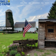 website-screenshot-353×248