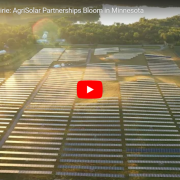 Dive into the Prairie YT