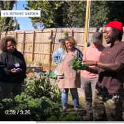 still image from Scripps video